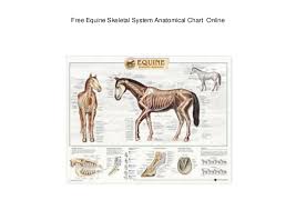 Free Equine Skeletal System Anatomical Chart Online