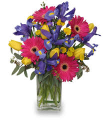 We did not find results for: Fresh Flower Care Tips For Your Newly Delivered Flowers