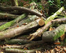 Firewood logs delivered in lincoln, lincolnshire & uk nationwide. The Real Cost Of Free Firewood Firewood Centre