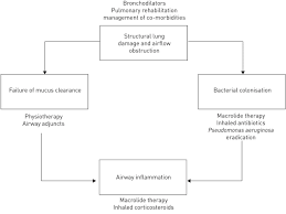 management of bronchiectasis in adults european