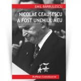 În primăvară, deci peste câteva luni, a rămas să ne mai vedem. Iulian N Vlad Confesiuni Pentru Istorie Aurel I Rogojan