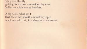 Poppies In October Sylvia Plath Sun And Clouds Soul Searching