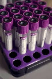 Vaccine Information For Dogs Cats Puppies And Kittens Veterinary Partner Vin