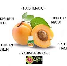 Biji aprikot memiliki beberapa nutrisi dan telah digunakan sebagai obat alternatif untuk kanker. Khasiat Biji Aprikot B17 Posts Facebook