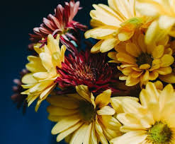 #2 best value of 65 places to stay in midland. Seasonal Floral Arrangements Becky S Flowers Midland Texas