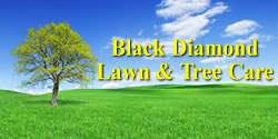 Your spokane service partners branch on 3808 n. Building Materials In Spokane Wa West Plains Building Supply