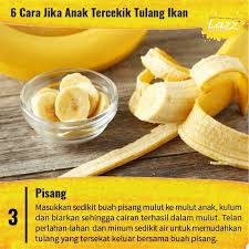 Boleh digunakan dan dihembuskan pada air untuk dibuat minum bagi menghilangkan tulang. 6 Cara Jika Anak Tercekik Tulang Ikan Viral Muafakat Johor ÙÙŠØ³Ø¨ÙˆÙƒ