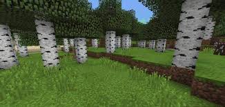 Warlords armors resource pack hypixel minecraft server and maps. Vanilla Template For Minecraft 1 16 4