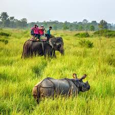 Chitwan National Park Sauraha In 2020 National Parks Park Visiting