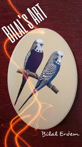 Bilal S Art Panosundaki Pin