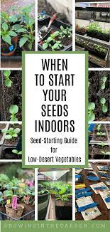 When To Start Seeds Indoors A Seed Starting Guide For Low Desert Vegetables Growing In The Garden When To Start Seeds When To Start Seeds Indoors Start Seeds Indoors