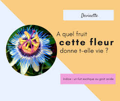 Quel Fruit Donne Cette Fleur Devinette Fleur Flower Passiflore Pruitdelapassion Exotique Fruit Fruit Exotique Fleurs