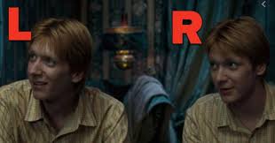 *george weasley and the year we knew he was back. Can You Tell Fred And George Weasley Apart