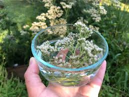 What kind of spray is mixed with yarrow? Boneset Flower Essence Mayernik Kitchen