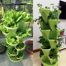 Check out these gorgeous wall flower pots at dhgate canada online stores, and buy wall flower pots at ridiculously affordable prices. China Plant Decorative Vegetable Planter Strawberry Three Dimensional Stackable Plastic Flower Pot China Gallon Pot And Flower Pots Price