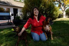 Whether it's in their special bed or favorite sunny spot. At Home Pet Euthanasia Is An Option That Puts Animal Owner At Ease The Denver Post