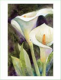 Calla Lilies Print Or Original Wall Art Flower Wall Decor Gifts Under 15 Gift Watercolor Art White Flowers Lily Painting Lilies Drawing Calla Lily