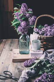 Lilacs 6 Tricks For Extended Vase Life Petalbackfarm Com In 2020 Lilac Flowers Lilac Beautiful Flowers