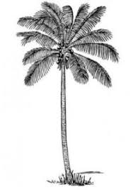 Jenis tes psikotes yang sering dijadikan soalan yaitu tes psikotes gambar pohon. Macam Macam Soal Psikotes Kerja Dan Tips Menjawabnya