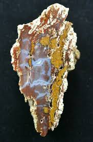 We did not find results for: Hubbard Basin Petrified Wood Round Nevada Ebay
