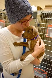 Try changing your search options. Black Friday Adopt A Thon Moving To Shelter Hq Local News Laconiadailysun Com