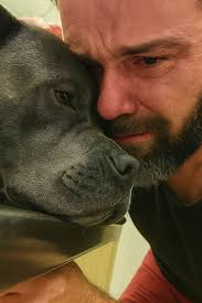 My baby passed away this morning. Only someone heartless wouldn't say RIP.  I'm still shaking as I write this, because nothing prepares you for the  moment your whole world shatters in an