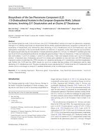 Prices might differ from those given by financial institutions as banks (national bank of romania, european central bank), brokers or money transfer the best day to change romanian lei in euros was the sunday, 2 august 2020. Pdf Biosynthesis Of The Sex Pheromone Component E Z 7 9 Dodecadienyl Acetate In The European Grapevine Moth Lobesia Botrana Involving 11 Desaturation And An Elusive 7 Desaturase