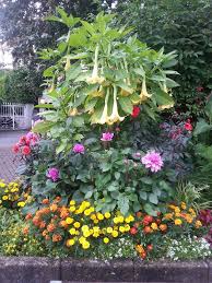 Von der planung über die realisation bis hin zur pflege: Garten Und Landschaftsbau Stolz Oberhausen Facebook