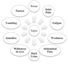 Image result for hepatitis symptoms