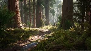 Ue4 Redwood Forest Pack 3d Model Fantasy Landscape Forest Illustration Forest