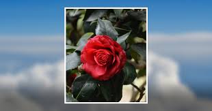 Lois Deatherage Overby Obituary August 14, 2021