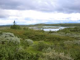 We aim to keep you updated on our productions and other news. Peer Gynt Vegen Wikipedia