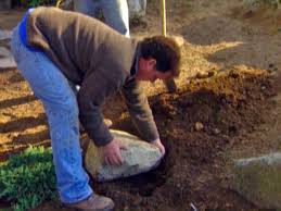 The combination of wet weather and heavy shade trees, along with the use of heavy plastic liners to stop unwanted plant growth,has made this. How To Make A Rock Garden How Tos Diy