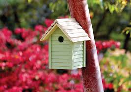 Ronseal Garden Paint Sapling Green Ronseal Garden Paint Garden Painting Cuprinol Garden Shades