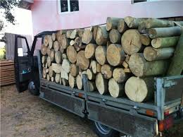 3 1 Metri Cubi De Lemn De Foc De Fag Transportat Fără Documente Confiscat De Polițiști La Putna Stiri Suceava Stirisuceava Net