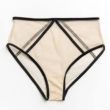 Sheer Panty - Carmela High Waist Panty – Taryn Winters