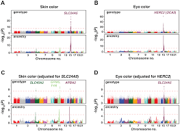 File Gwas Results For Skin And Eye Color In The Total Cape