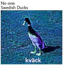 51 Funny Memes That Are Hard Not To Laugh At Funny Memes Funny Pictures Funny Relatable Memes