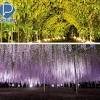 Imagen de la noticia para ASHIKAGA de Portal Mie