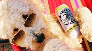 We did not find results for: 52 Perfect Gifts For Dog Lovers And Owners
