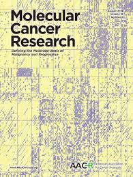 Semakan status dana raya terengganu 2021 (tarikh bayaran) P16 Controls P53 Protein Expression Through Mir Dependent Destabilization Of Mdm2 Molecular Cancer Research