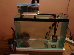 Diy Sump Filter For Aquariums Diy Aquarium Filter Aquarium Sump Fish Tank