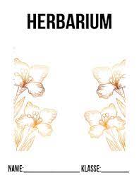 Herba = kraut) ist eine sammlung konservierter (meist getrockneter und gepresster) pflanzen bzw. Herbarium Deckblatt Zum Ausdrucken Deckblaetter Eu