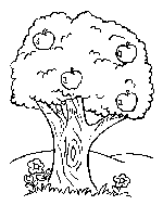 Check spelling or type a new query. Desene De Colorat Pomi Qbebe Planse Si Imagini De Colorat