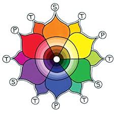 Good vibes coloring book coloring activity book coloring is fun. Amazon Com Color Dreams Coloring Book Perfectly Portable Pages Design Originals On The Go Coloring Book Convenient 5x8 Size Is Perfect To Take Along Wherever You Go Imaginative Designs On Perforated Pages 9781497200364 Thaneeya Mcardle