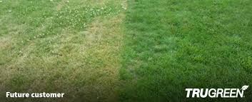 · lawn care services prevent accidental damage to property and people. Affordable Lawn Care Maintenance Treatment Services Trugreen