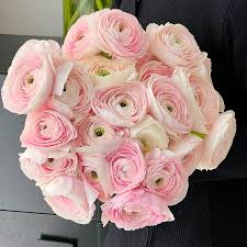Image result for Ranunculus stagnalis