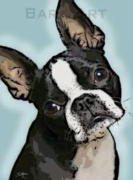 Black And White Boston Terrier Pictures Black And White Boston Terrier Dog Digital Pop Art Print Or Canvas Boston Terrier Art Boston Terrier Lover Boston Terrier Dog