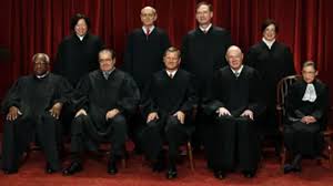 Image result for Justicia engleriana