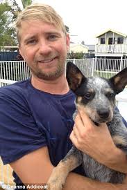 Aussie's our hero... He saved their lives': The brave puppy who sacrificed  his life to stop two children from being electrocuted in a puddle as they  walked through the aftermath of this